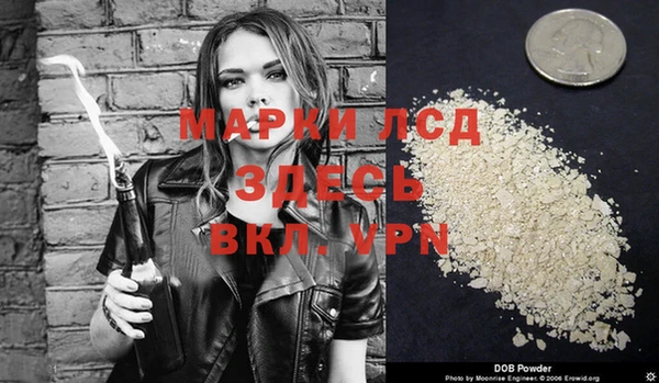 ешки Бородино