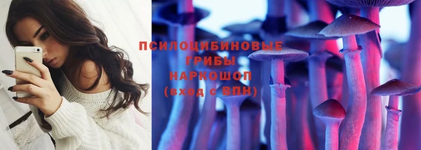 ешки Бородино