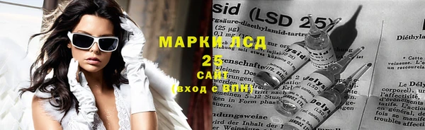 ешки Бородино